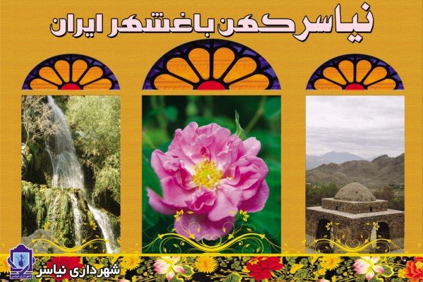 نیاسر 600x400 سیزدهمین جشن‌واره گل و گلاب در نیاسر کاشان برگزار می‌شود