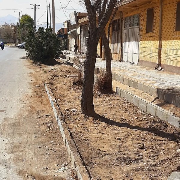 احتمال قطع درختان خیابان غیاث‌الدین جمشید شهروندان را نگران کرده است
