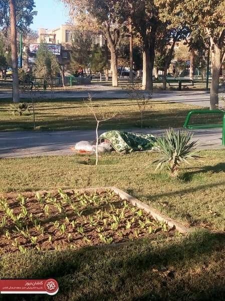 کارتن خواب-میدان کمال الملک (۲)