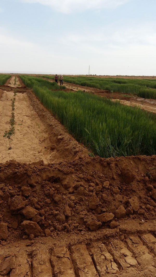 منابع-طبیعی۳