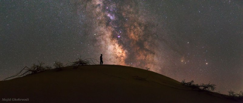 عکس: مجید قهرودی عکس: مجید قهرودی